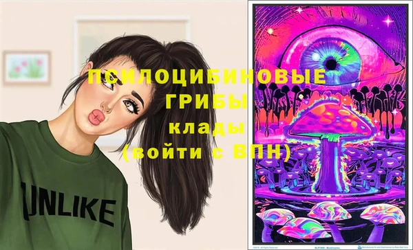 прущие крисы Богородицк