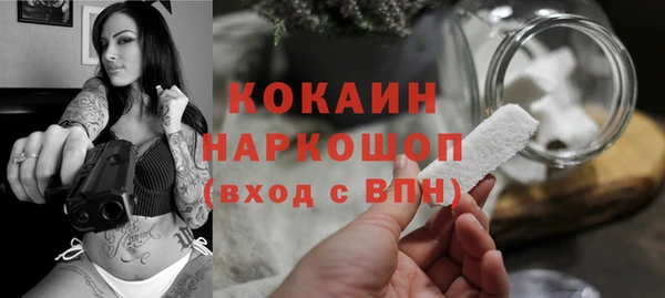сатива Богданович